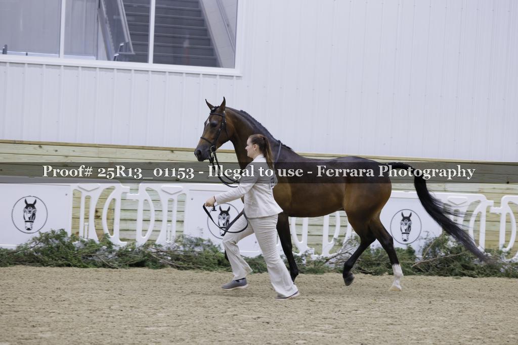 Proof 25R13_01153