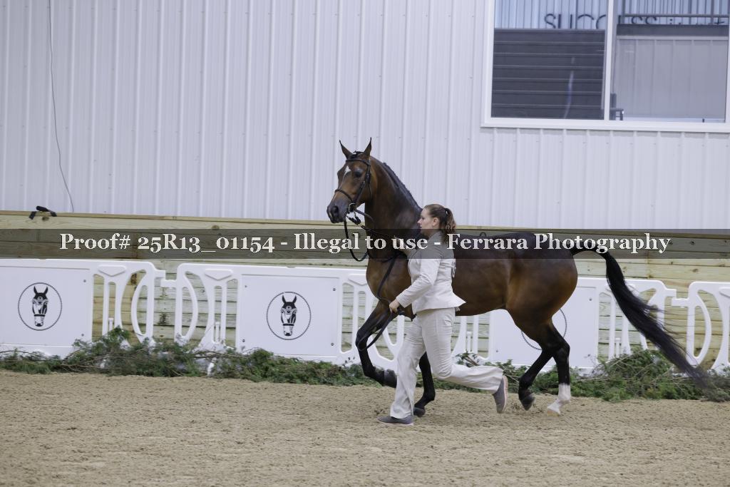 Proof 25R13_01154