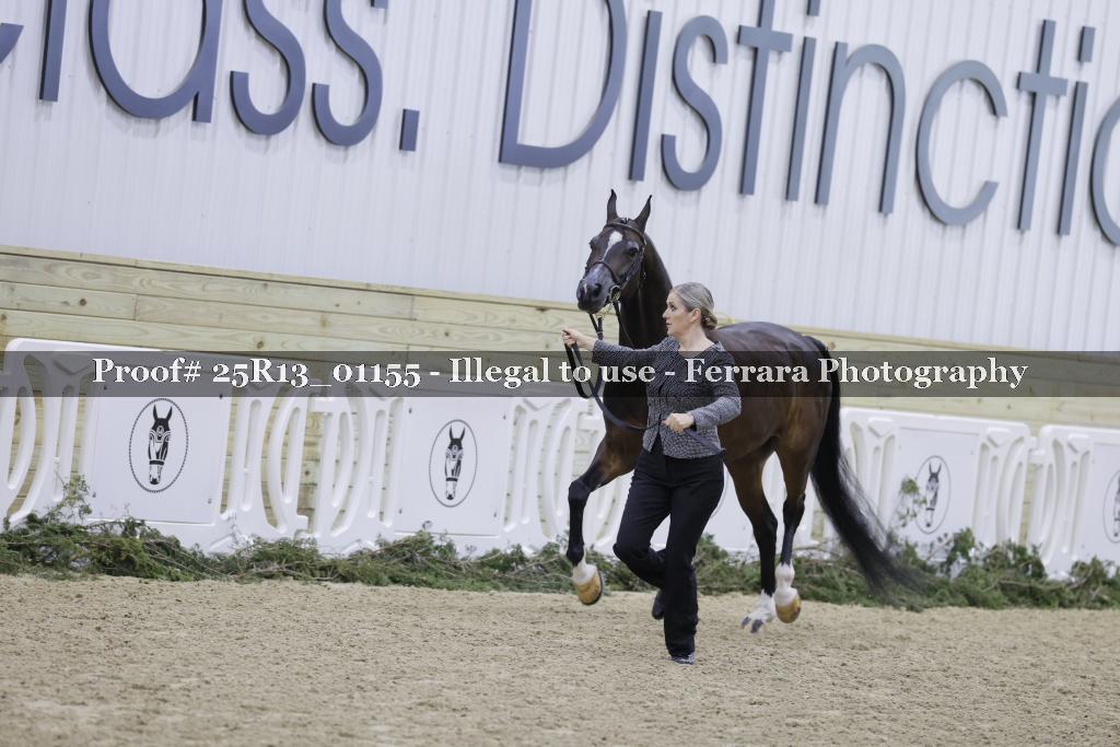Proof 25R13_01155