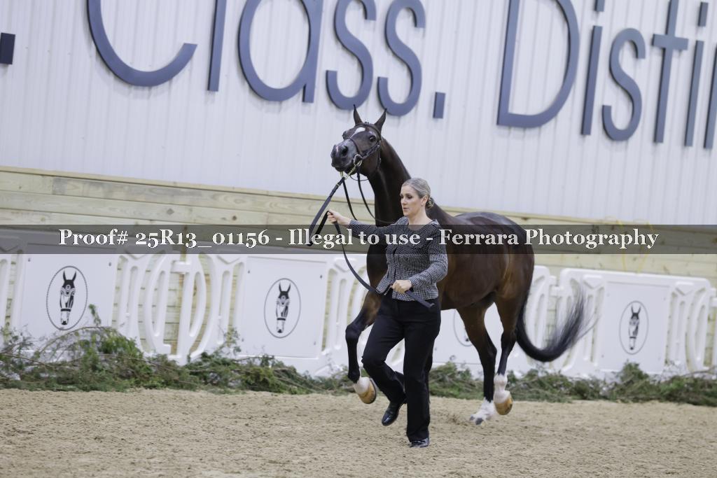 Proof 25R13_01156