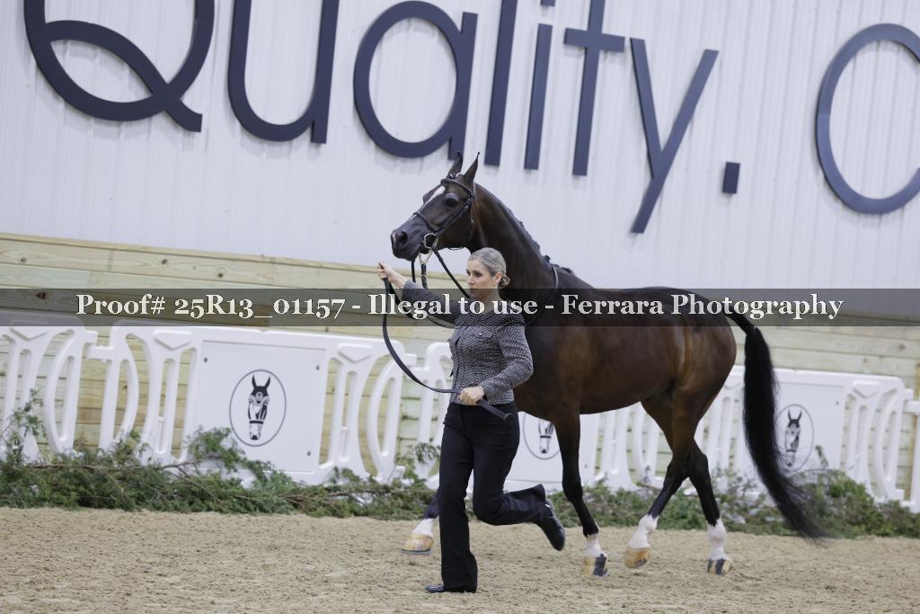 Proof 25R13_01157