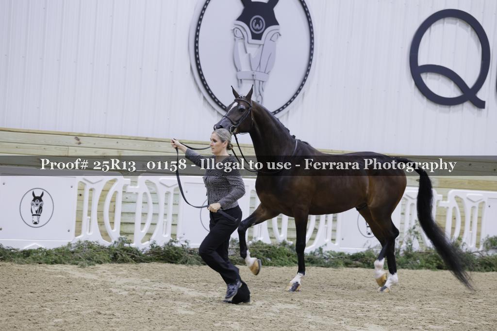Proof 25R13_01158