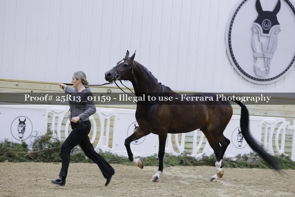 Proof 25R13_01159