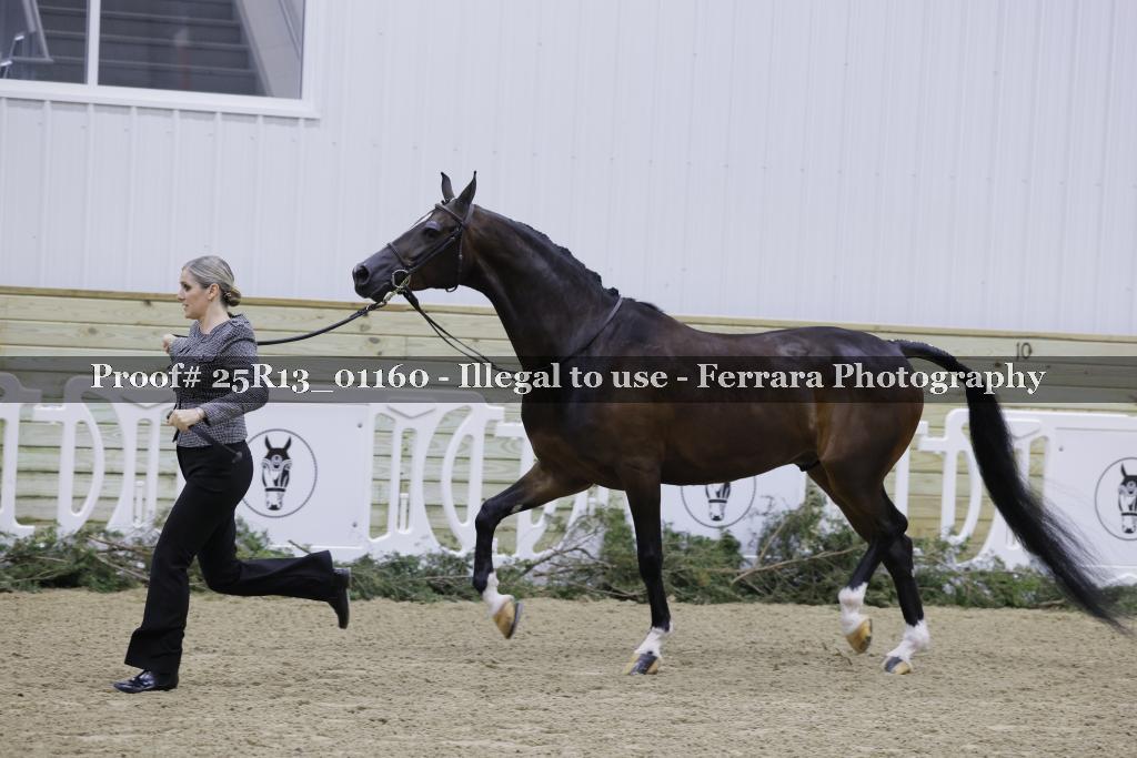 Proof 25R13_01160