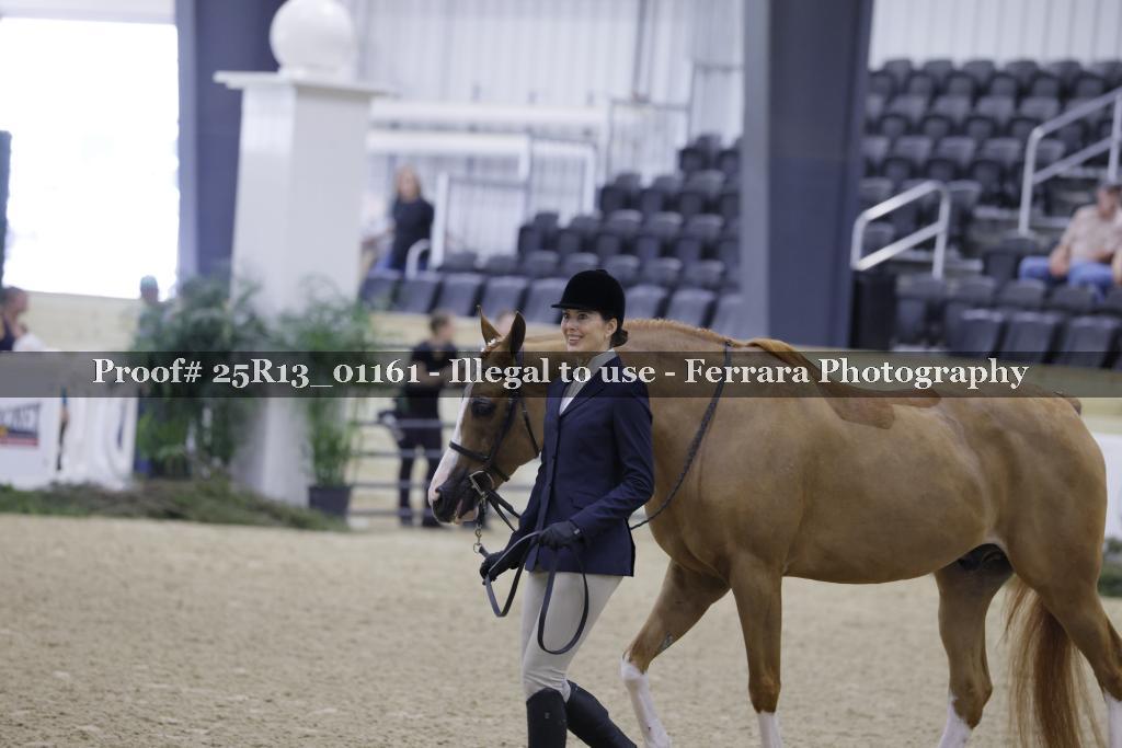 Proof 25R13_01161