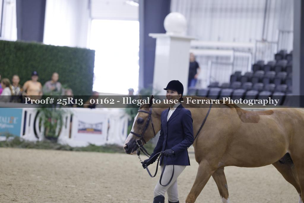 Proof 25R13_01162