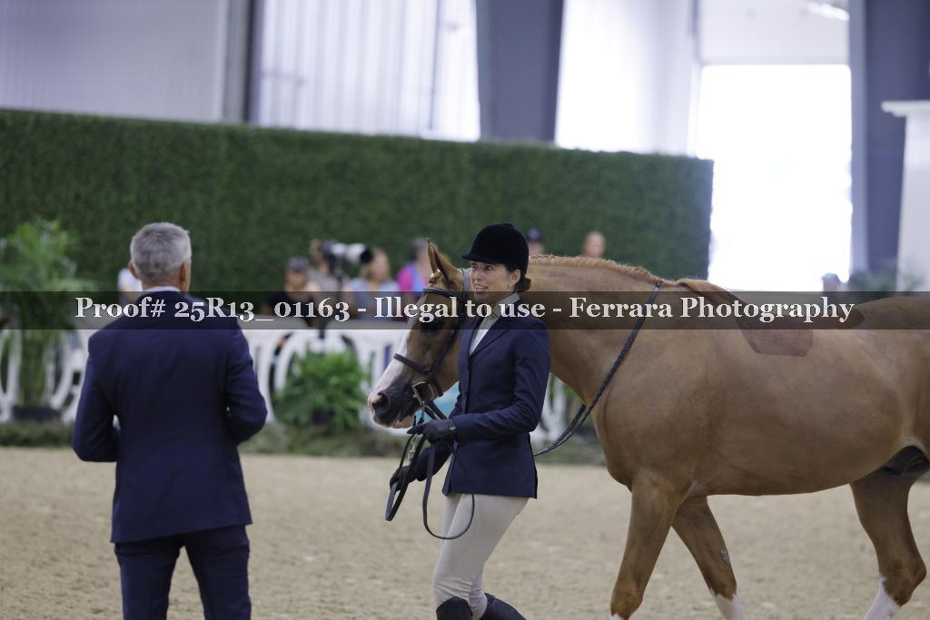 Proof 25R13_01163