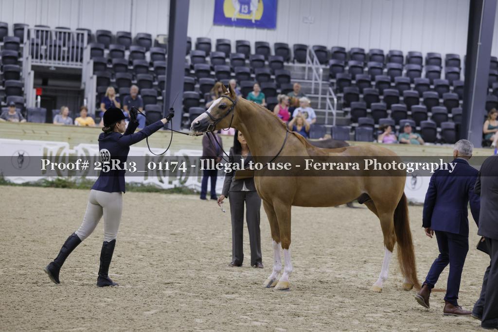 Proof 25R13_01174