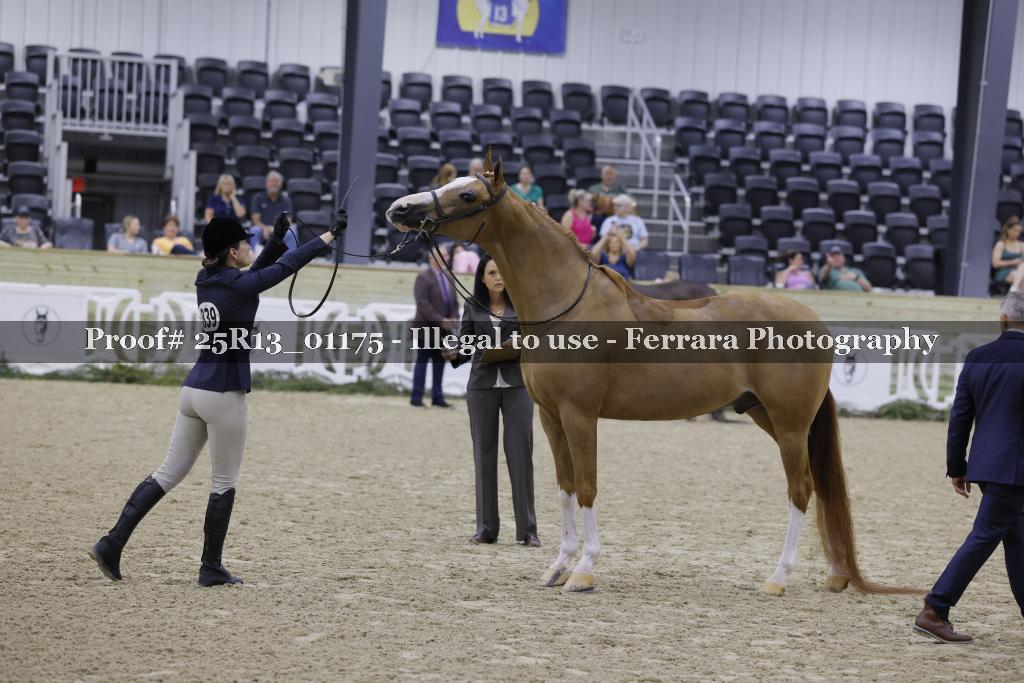 Proof 25R13_01175