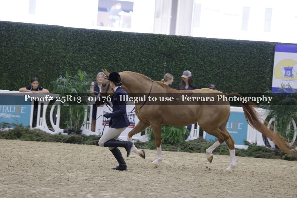 Proof 25R13_01176