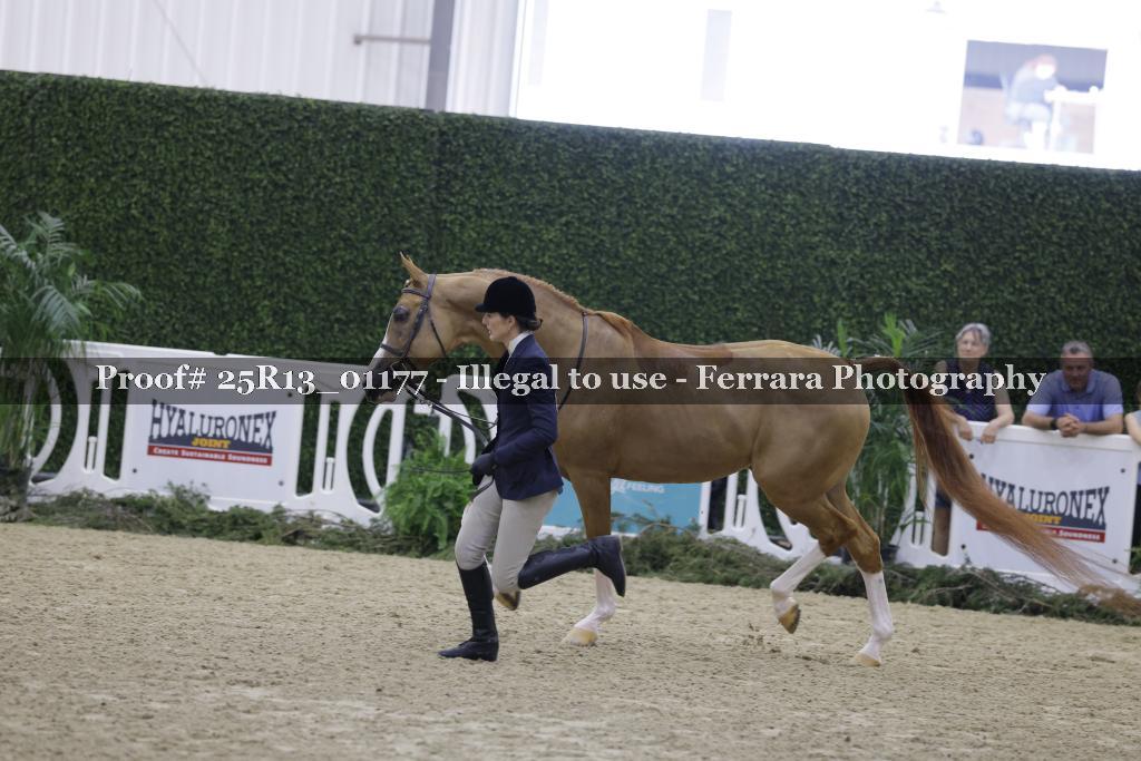 Proof 25R13_01177