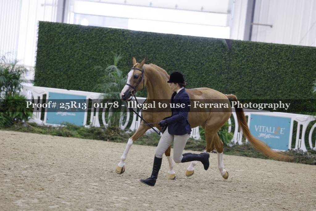 Proof 25R13_01178