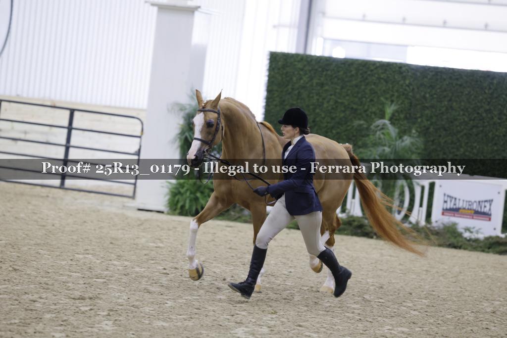 Proof 25R13_01179