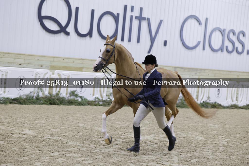 Proof 25R13_01180