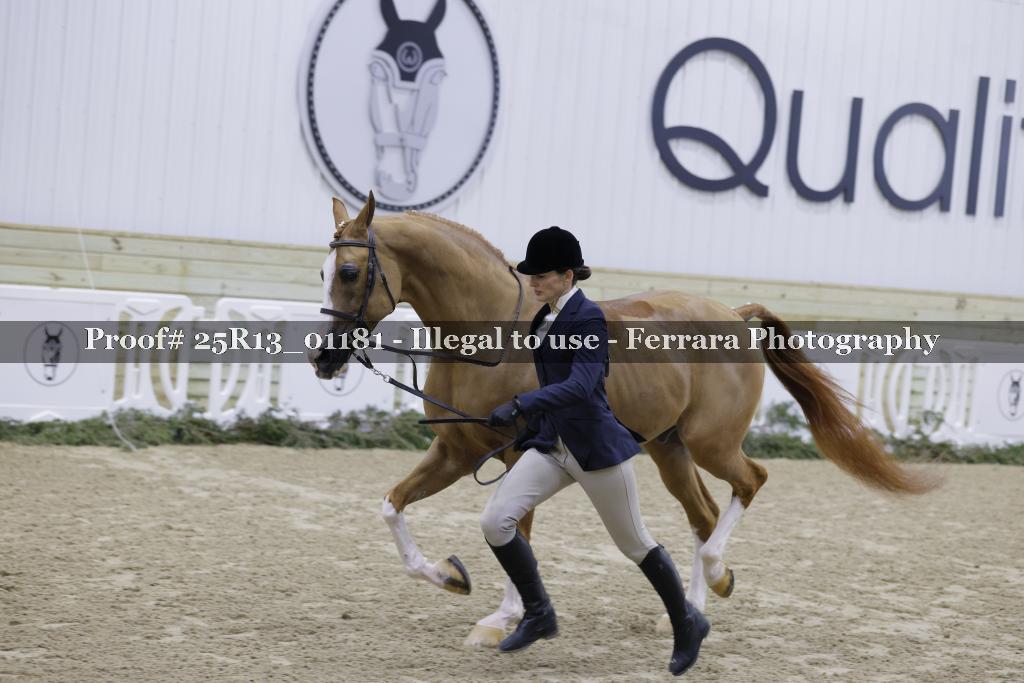 Proof 25R13_01181