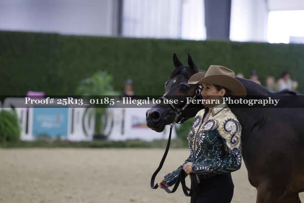Proof 25R13_01185