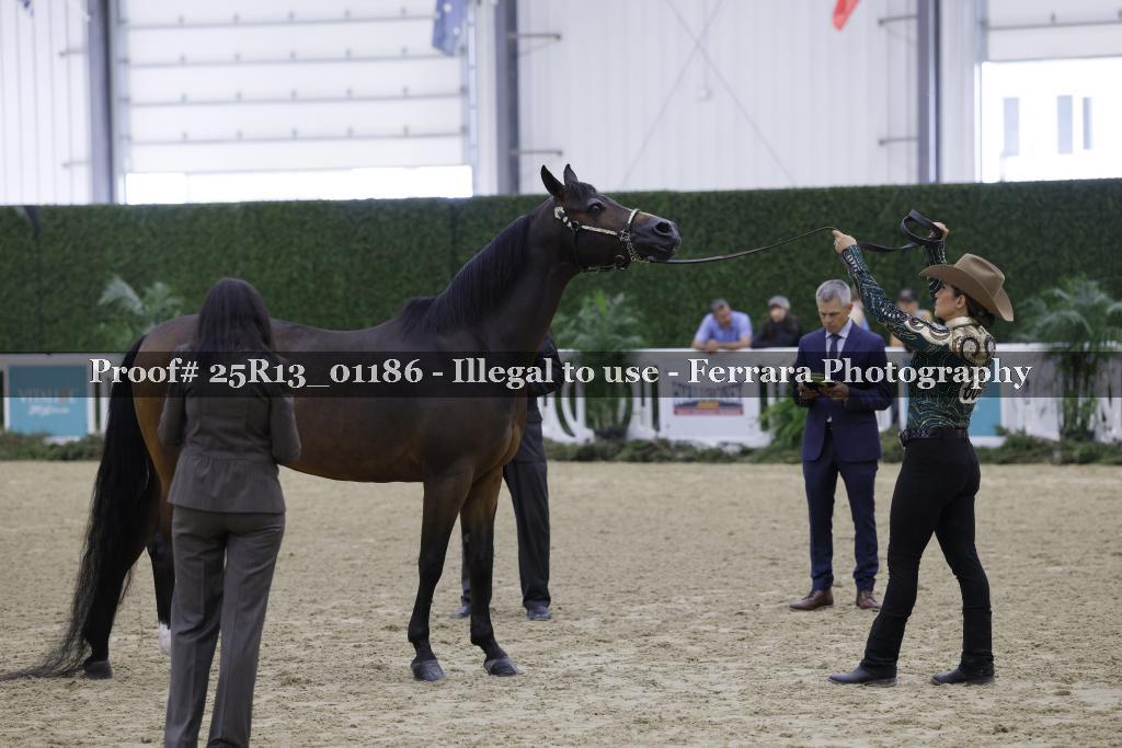 Proof 25R13_01186