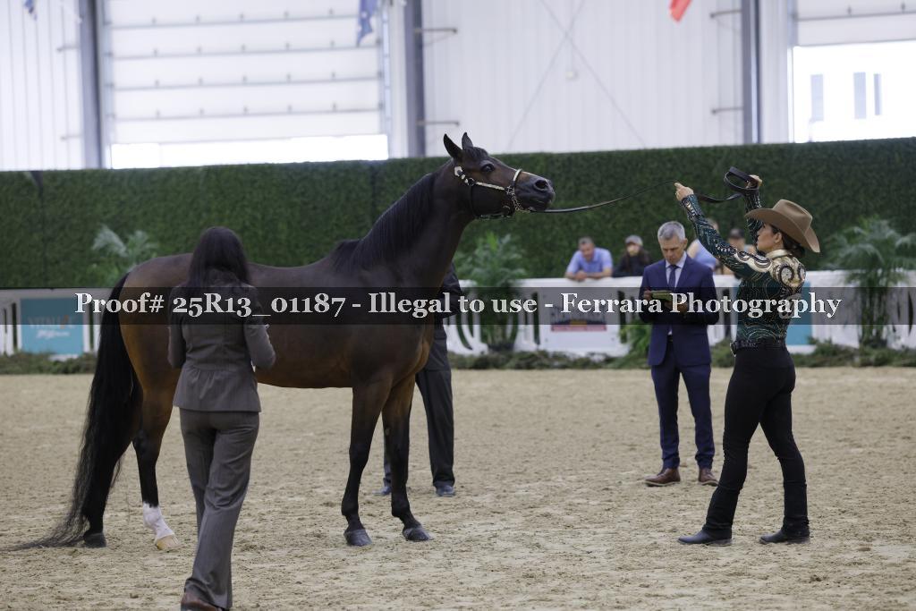 Proof 25R13_01187
