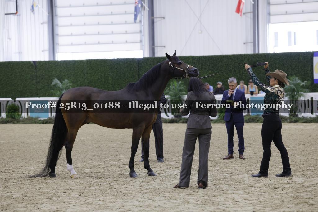 Proof 25R13_01188