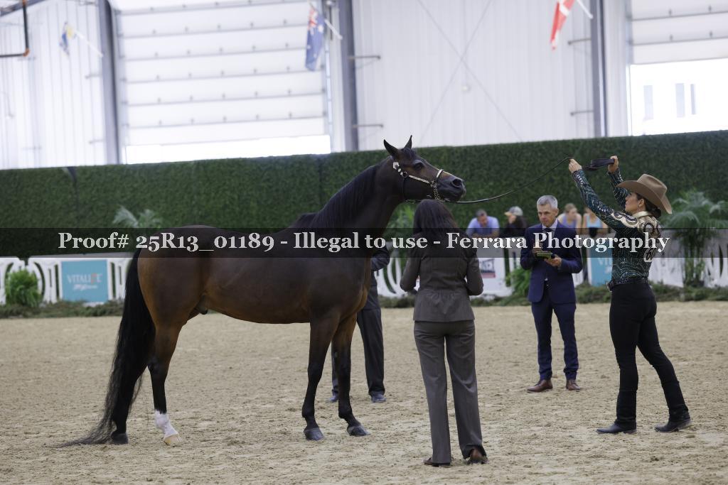 Proof 25R13_01189