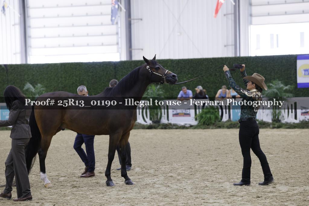 Proof 25R13_01190