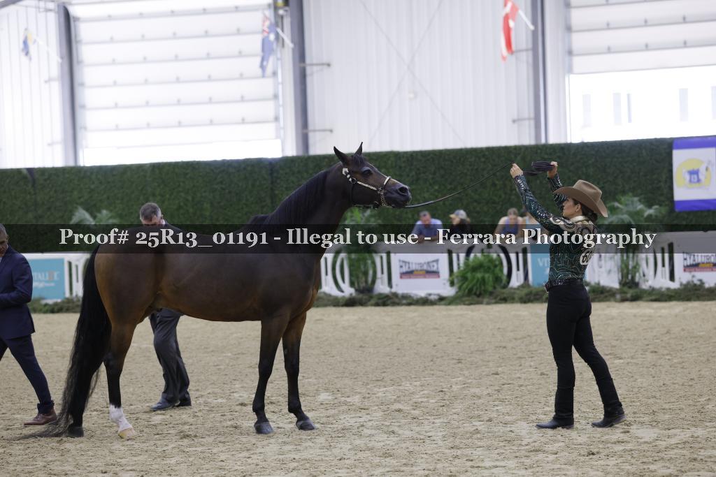 Proof 25R13_01191