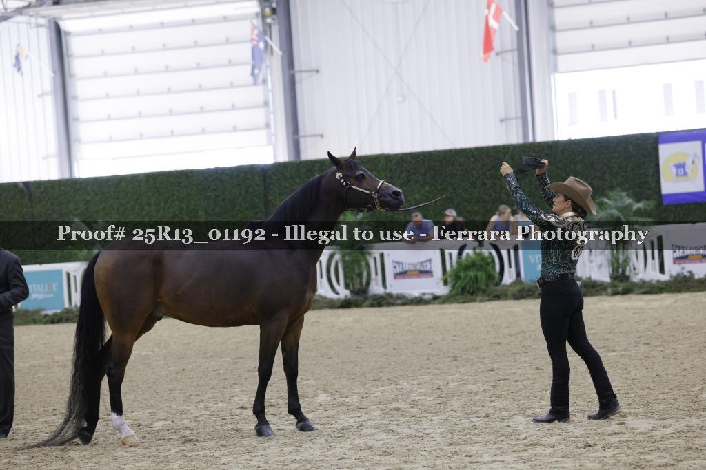 Proof 25R13_01192