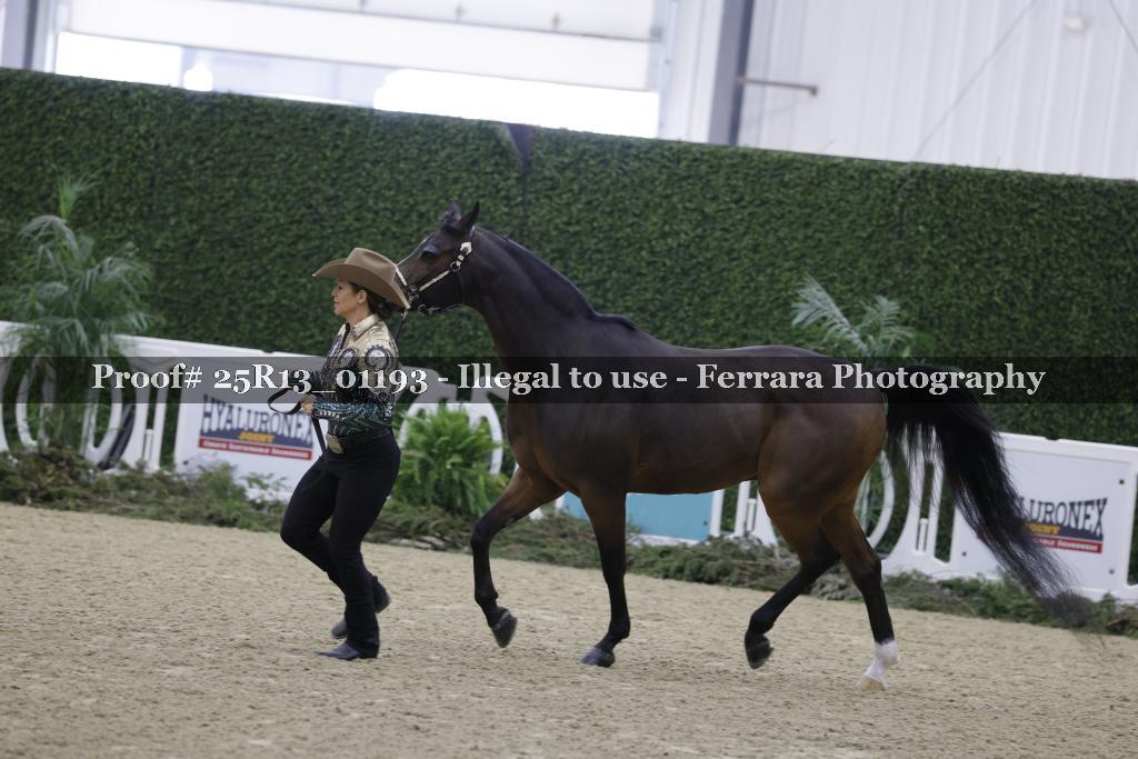 Proof 25R13_01193