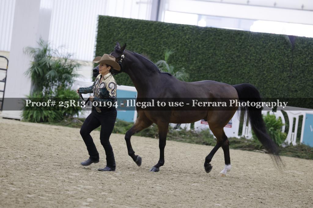 Proof 25R13_01194