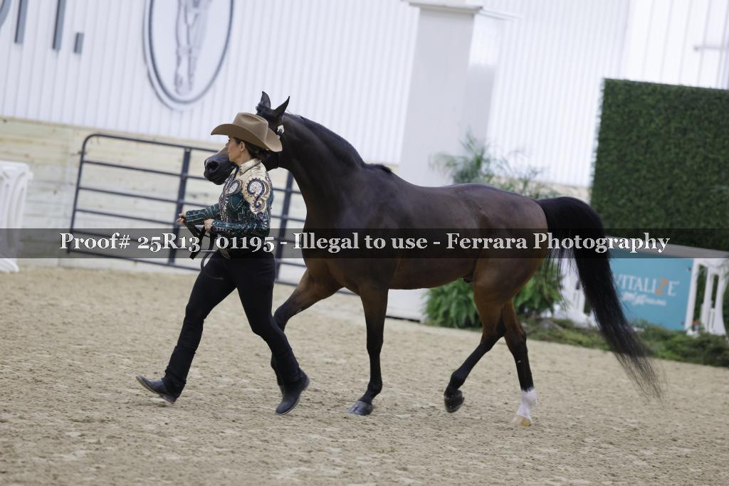 Proof 25R13_01195