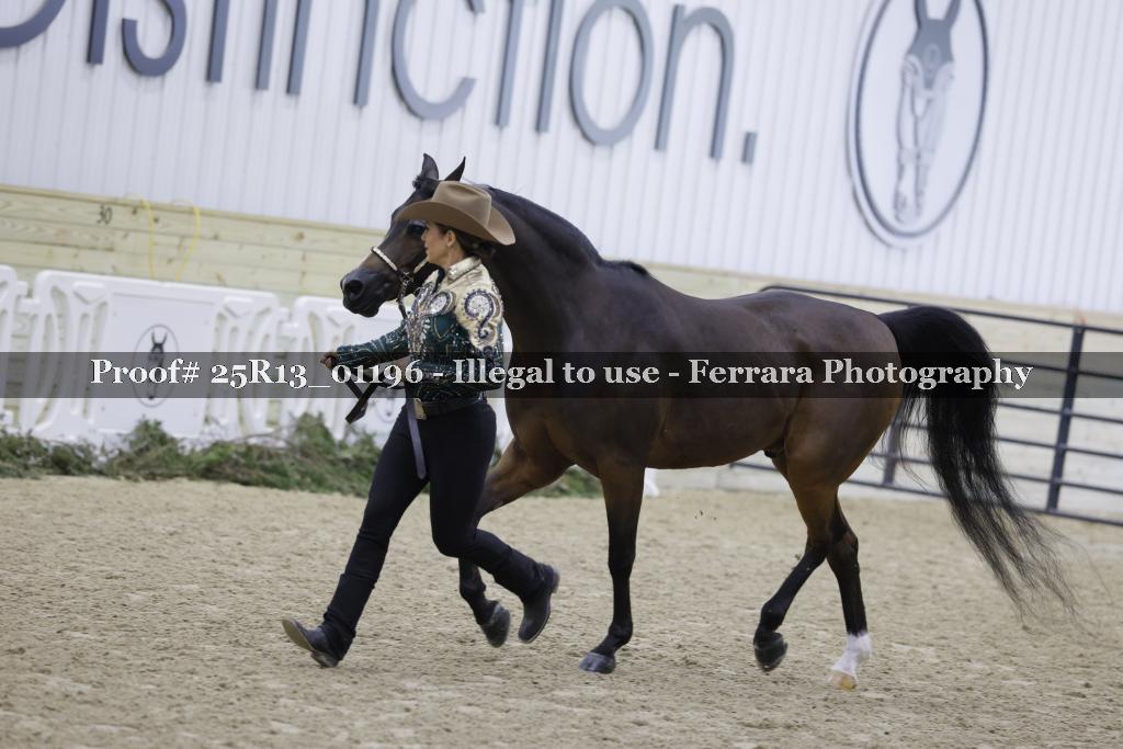Proof 25R13_01196