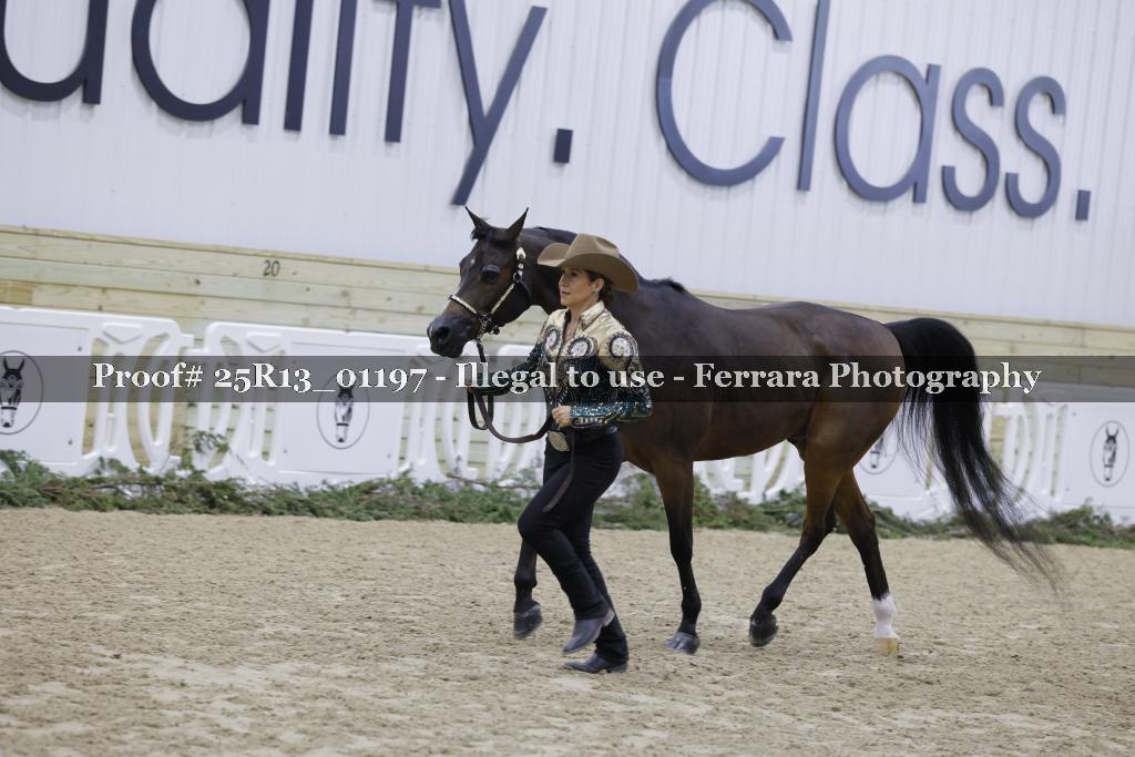 Proof 25R13_01197