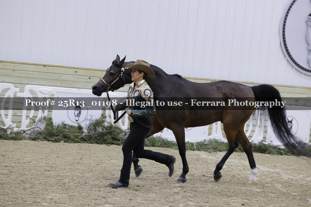 Proof 25R13_01198