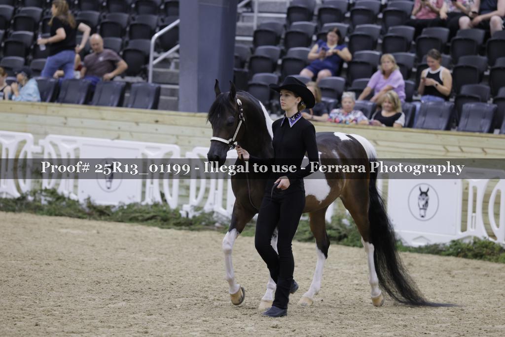 Proof 25R13_01199