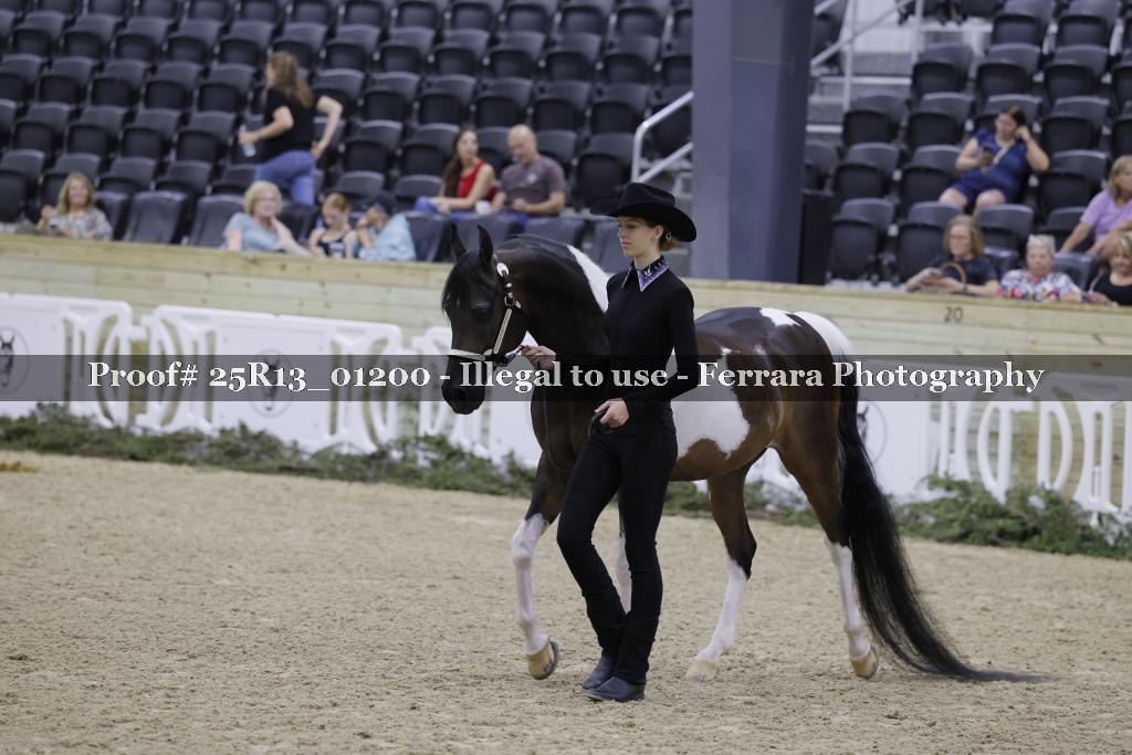 Proof 25R13_01200