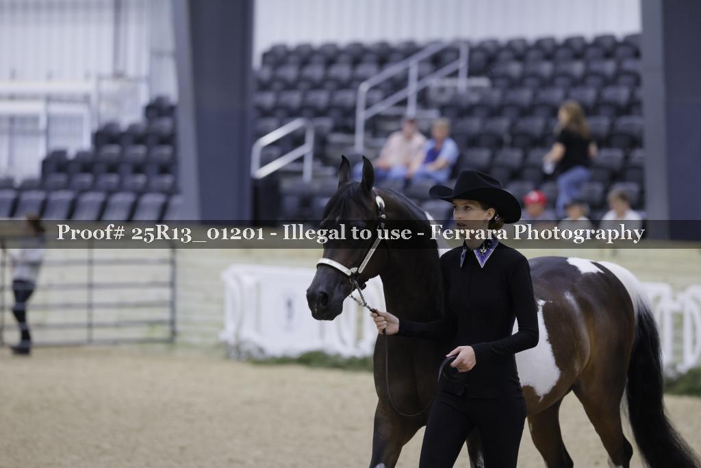 Proof 25R13_01201