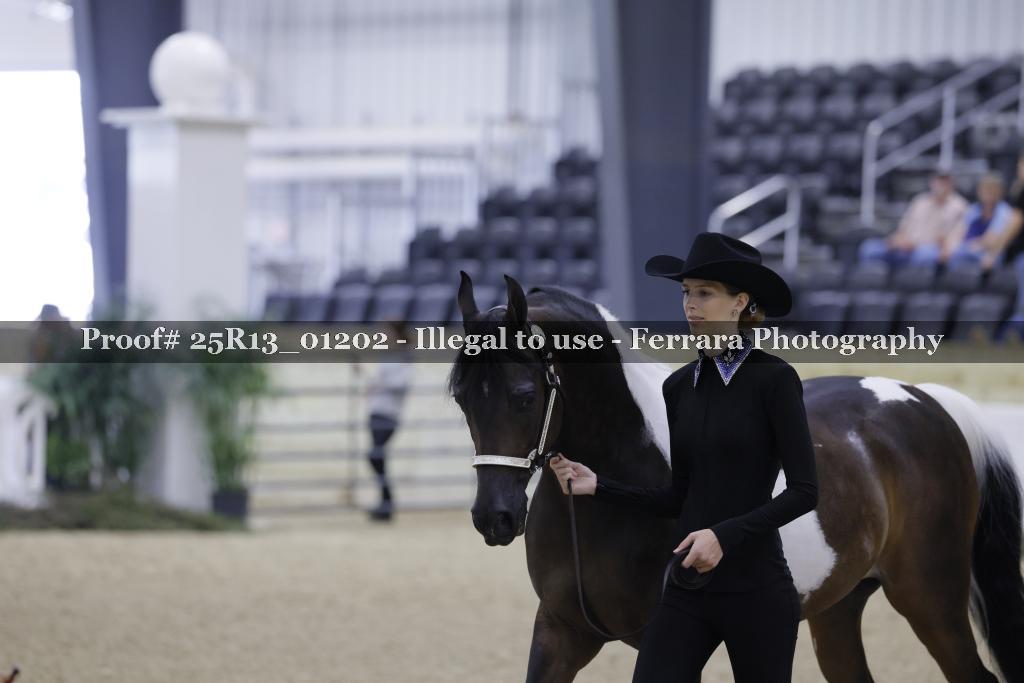 Proof 25R13_01202