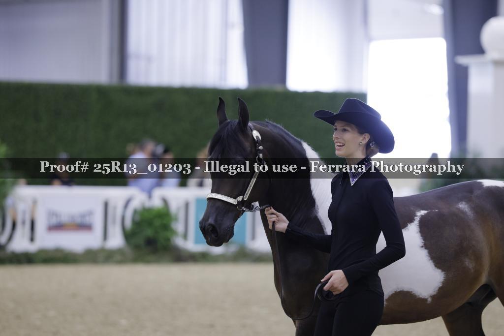 Proof 25R13_01203