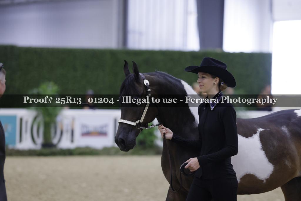 Proof 25R13_01204