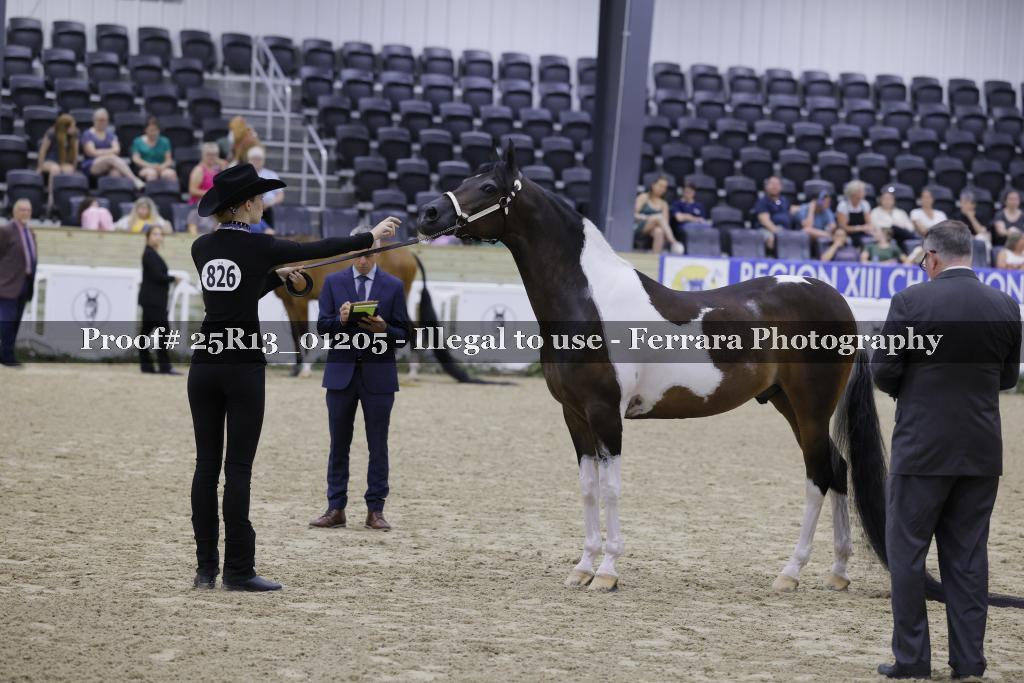 Proof 25R13_01205
