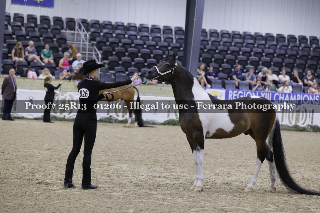 Proof 25R13_01206