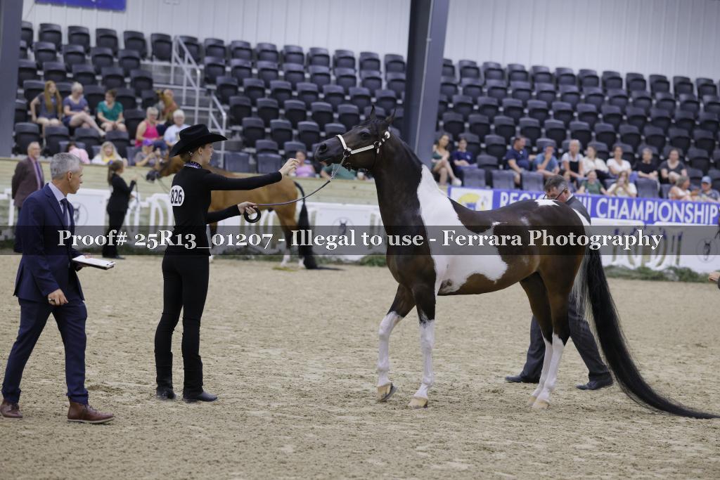 Proof 25R13_01207