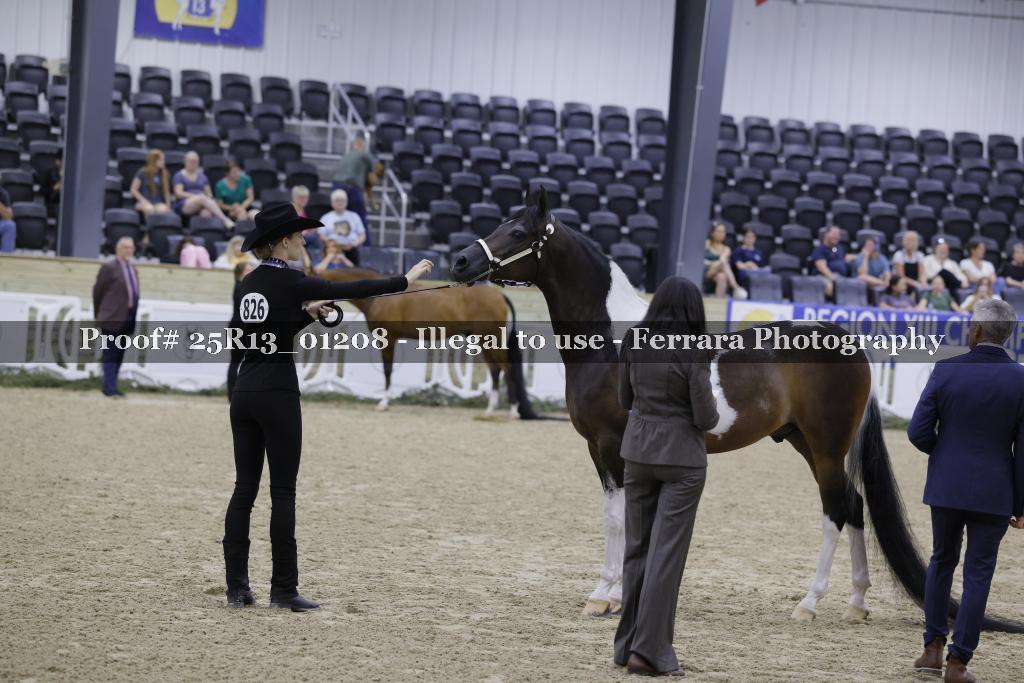 Proof 25R13_01208