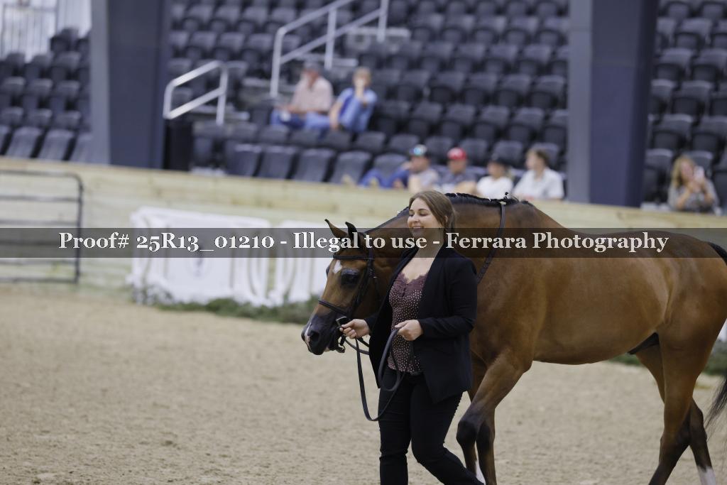 Proof 25R13_01210