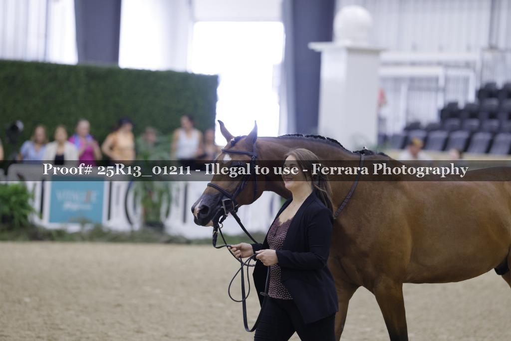Proof 25R13_01211