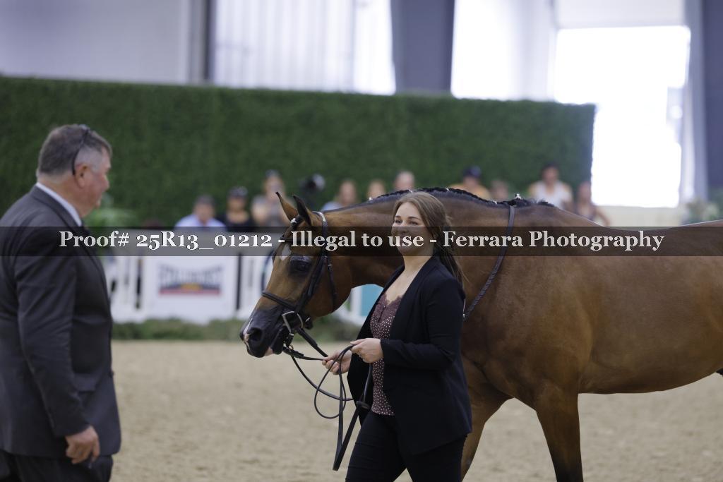 Proof 25R13_01212