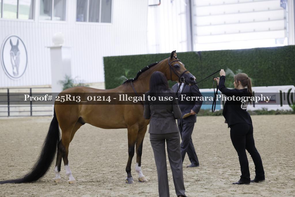 Proof 25R13_01214