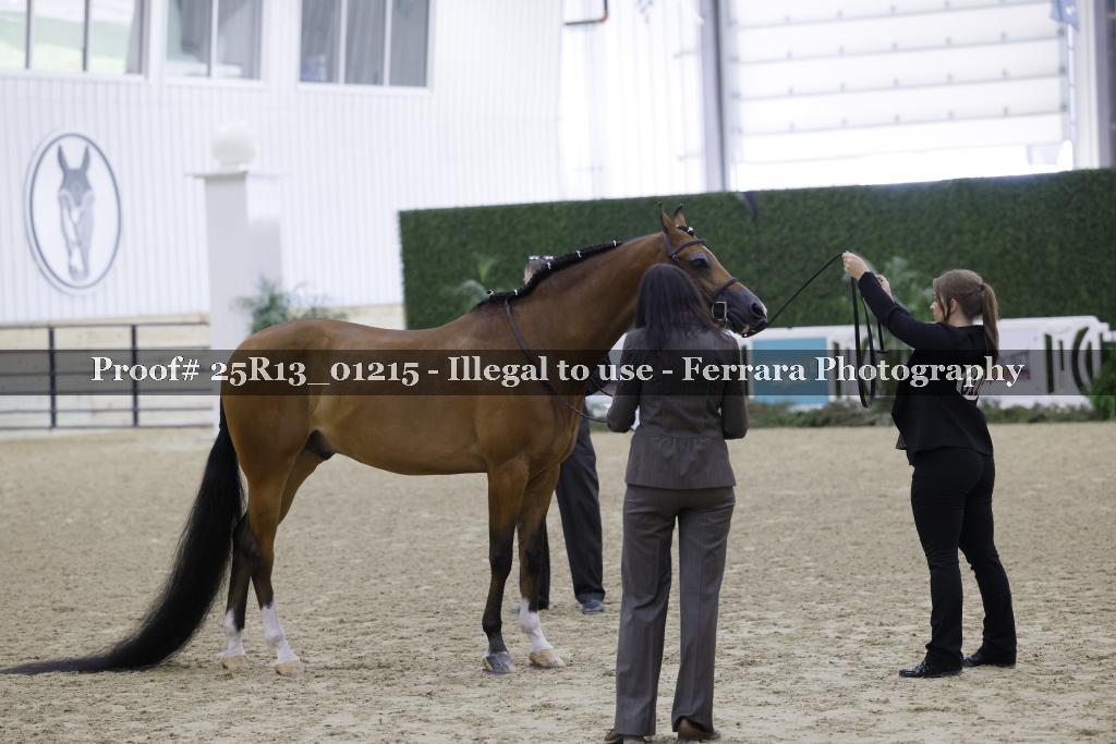 Proof 25R13_01215
