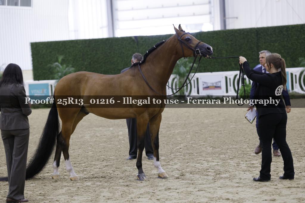 Proof 25R13_01216