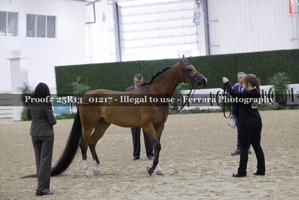 Proof 25R13_01217